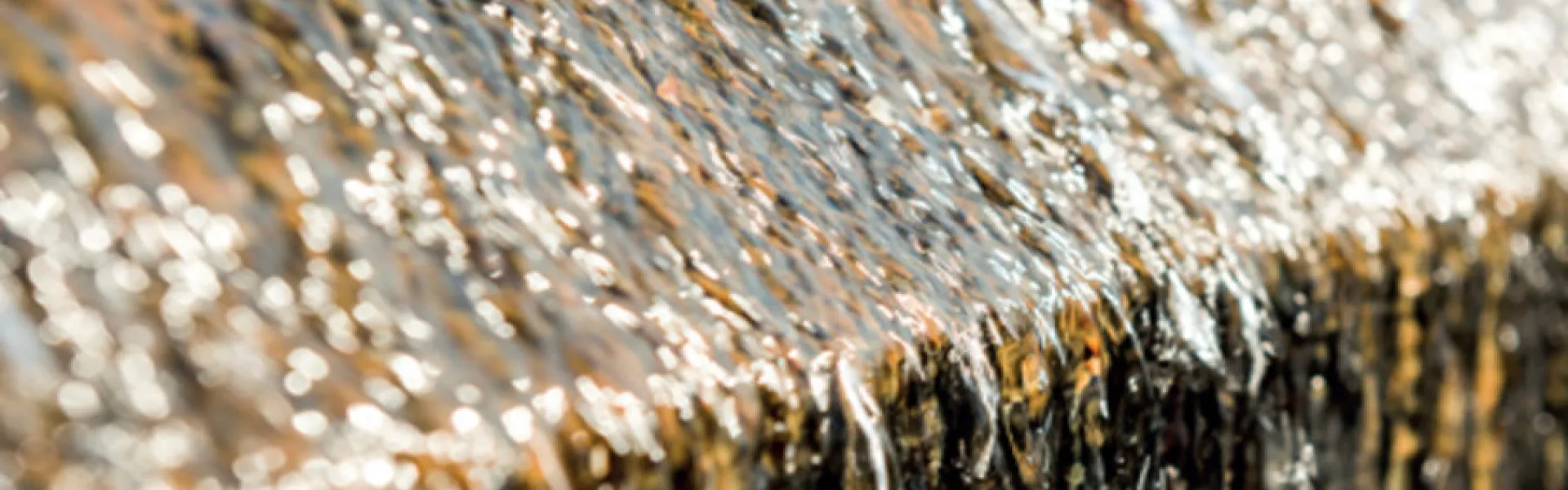 Scopri la soluzione per il controllo del pH dell'acqua