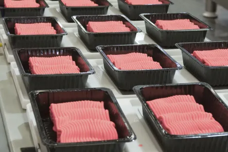 Kontrola temperatury w mieszałkach