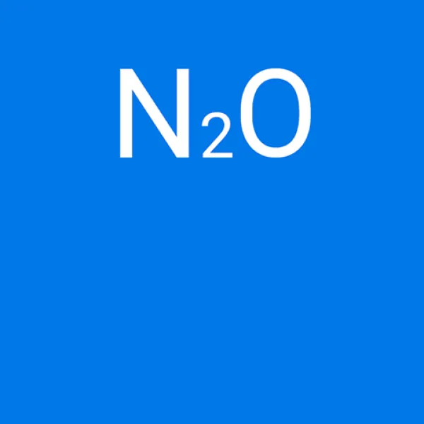N2O