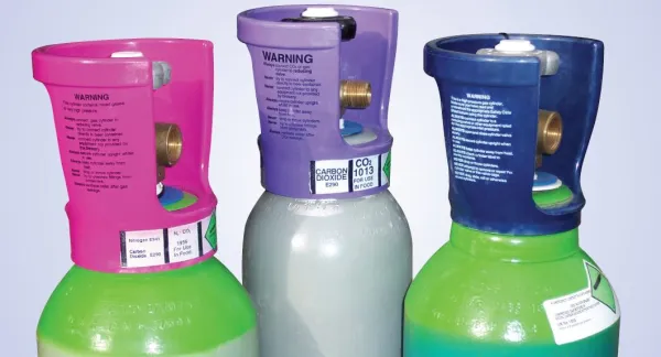 Cylinder valve guards